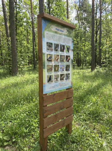 Tablica Palisada 2.png