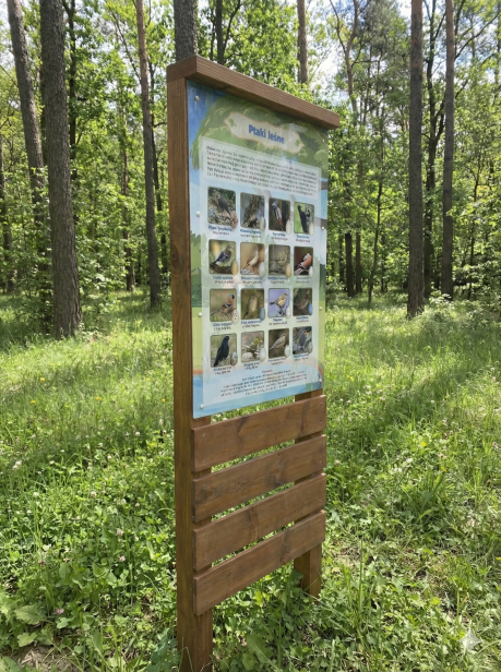 Tablica Palisada 2.png