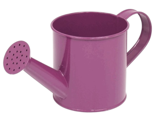 konewka fioletowa