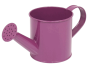 konewka fioletowa
