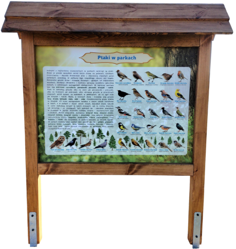 transparent-Photoroom - 2026-05-06T075922.166.png