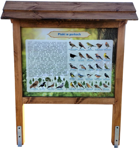 transparent-Photoroom - 2026-05-06T075922.166.png