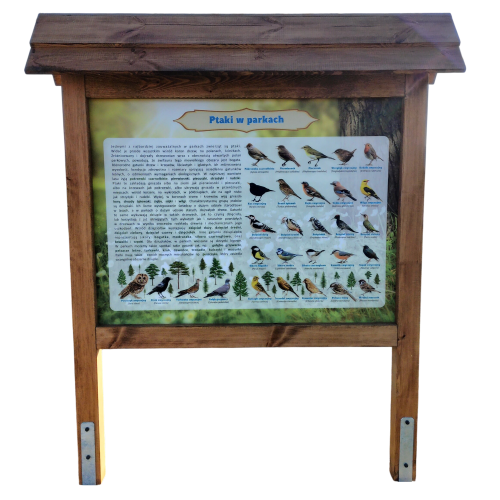 transparent-Photoroom - 2026-07-13T103159.452.png
