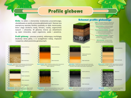 Profile glebowe.png