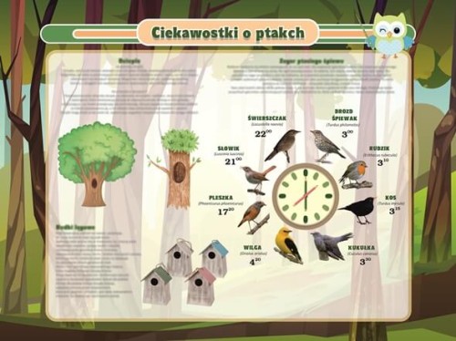 Tablica_Ciekawostki_o_ptakach_100x75_v1.jpg